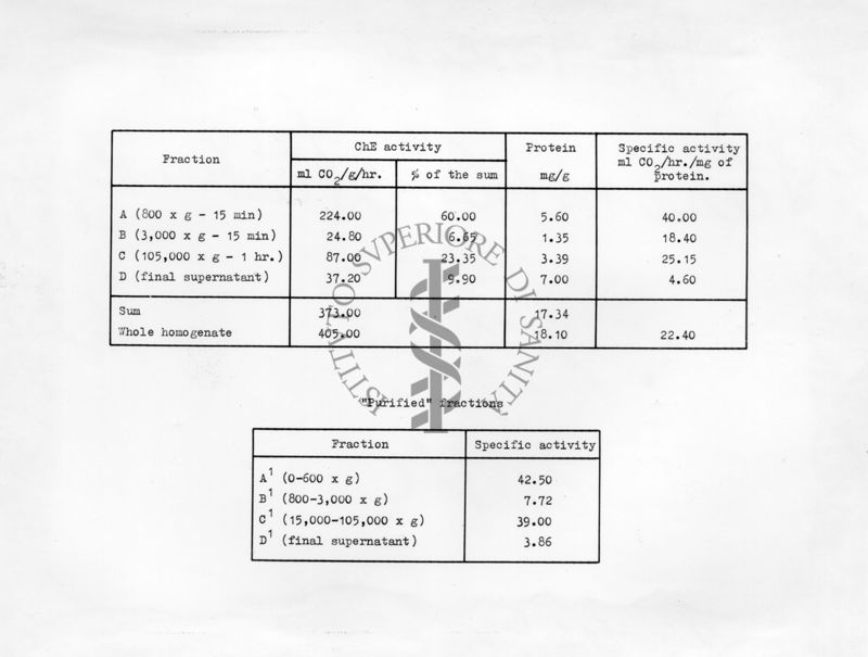 Declorurazione del D.D.T. in anofeli sensibili e resistenti