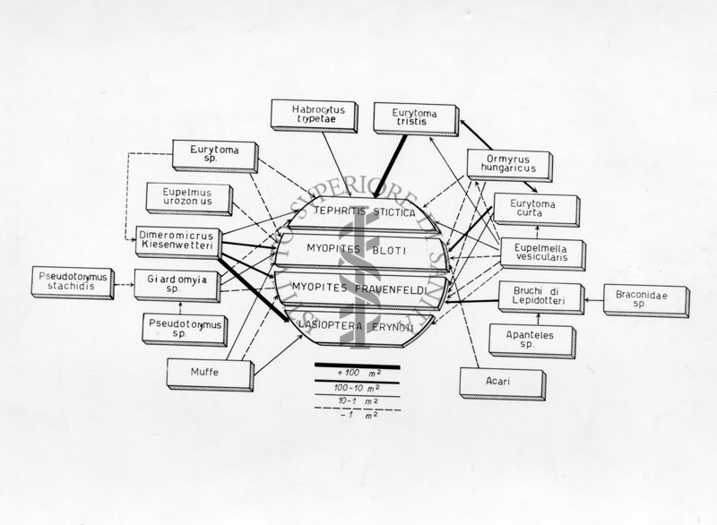 Schema di differenti tipologie di parassiti