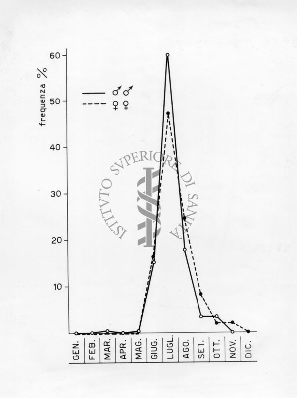Diagramma riguardante le indagini sui casi di latrodectismo