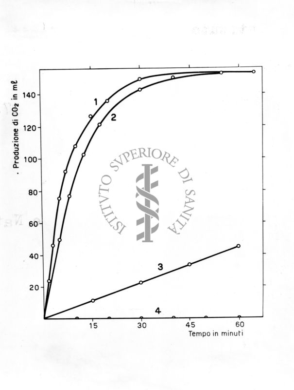Ricerche sugli effetti tossici di alcuni bromo e cloro-acetati in ceppi sensibili e resistenti di mosca domestica