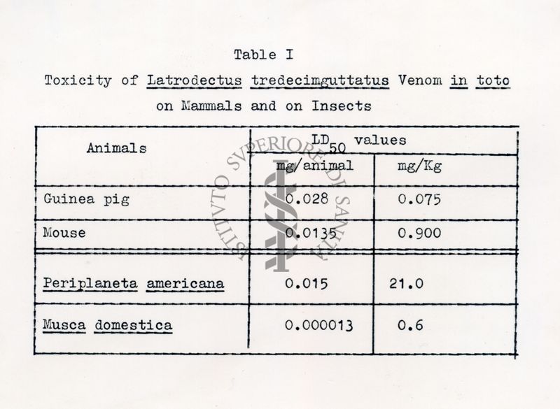 Studi biochimici sul veleno di Latrodectus tredeciguttatus ovvero sulla vedova nera mediterranea, o malmignatta (Latrodectus tredecimguttatus). E' un ragno appartenente alla famiglia Theridiidae
