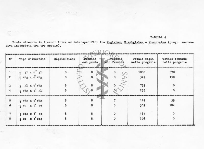 Acari predatori di mosche
