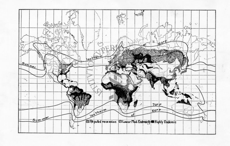 Livello di diffusione mondiale di una malattia non identificata (probabile diffusione di malaria)