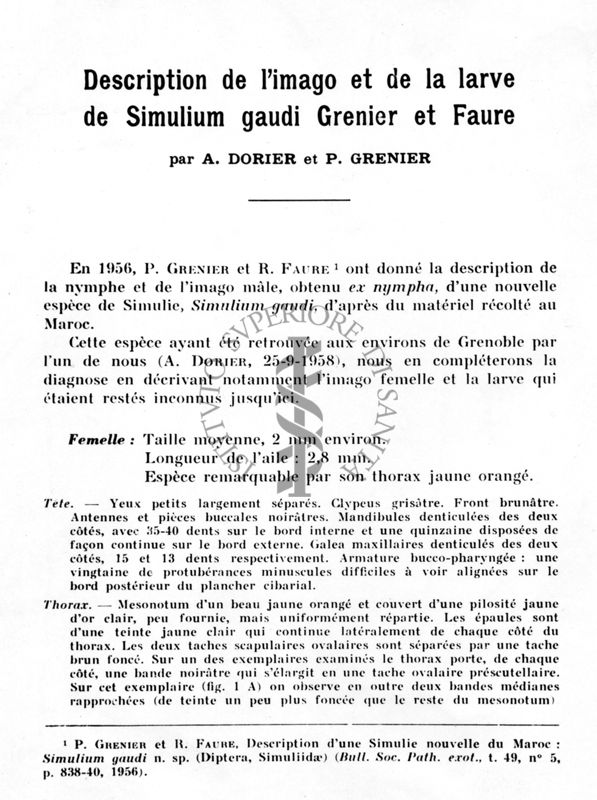 Riproduzione di testo con il seguente titolo: "Description de l'imago et de la larve de Simulium gaudi Grenier et Faure". Autori: A. Dorier et P. Grenier