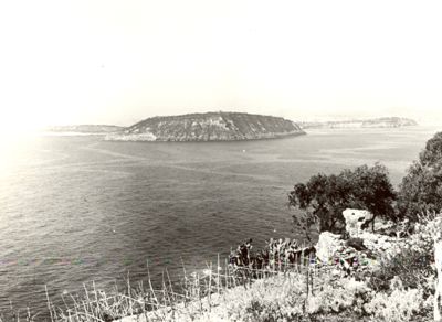 Ischia - veduta delle isole di Vivara e Procida