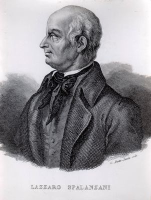 Lazzaro Spallanzani: naturalista (nato a Scandiano nel 1729, morto nel 1799).