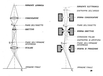 Schema dei raggi nel microscopio elettronico e nel microscopio luminoso