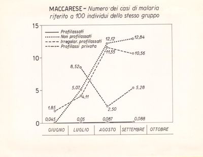 Diagramma riguardante il numero dei casi di malaria riferito a 100 individui dello stesso gruppo (Maccarese)
