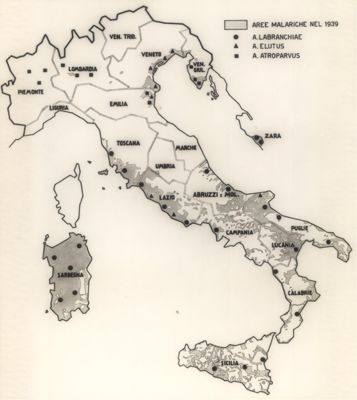 Cartogramma riguardante le aree malariche nel 1939 in Italia