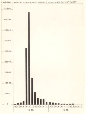 Diagramma riguardante il numero complessivo mensile degli anofeli catturati (1945-46) a Latina