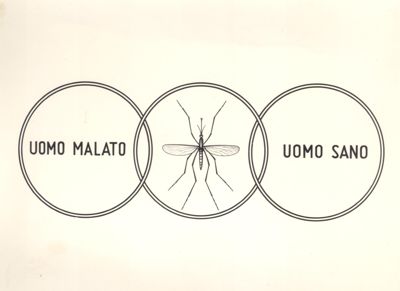 Grafico raffigurante l'anello di congiungimento tra l'uomo malato e l'uomo sano