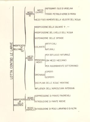 Tabella raffigurante la lotta contro le larve