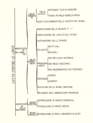 Tabella raffigurante la lotta contro le larve