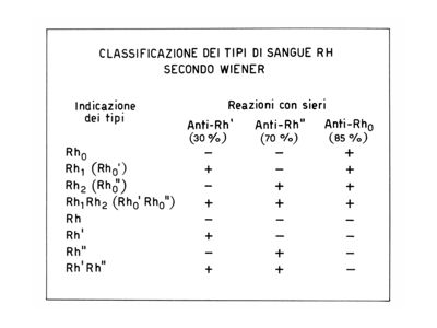 Classificazione dei tipi di sangue R H secondo Wiener