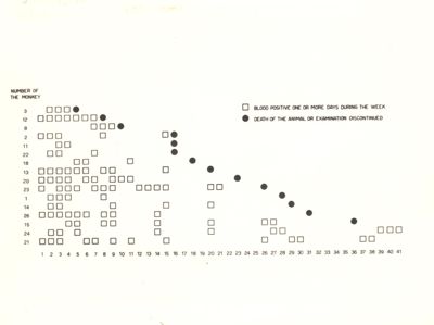 Distribuzione delle recidive nell'infezione da Plasmodium cynomolgi delle scimmie