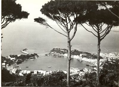 Veduta panoramica del Porto d'Ischia