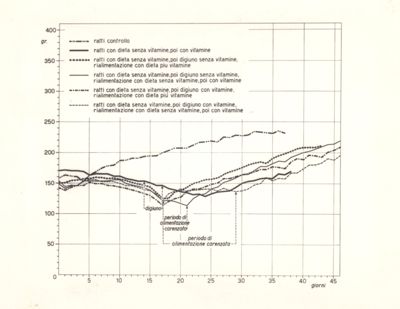 Diagrammi riguardanti vitamine e decorso del digiuno nel ratto albino