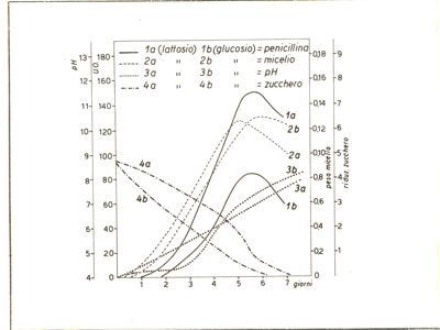 Diagramma riguardante il comportamento della penicillina, micelio, pH zucchero in terreno glucosato e lattosio