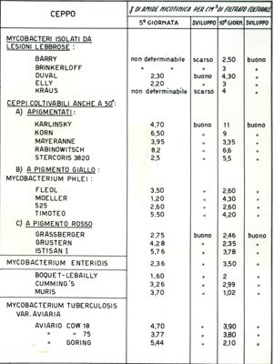 Tabella raffigurante la produzione di amide nicotinica in 5° e 10° giornata di sviluppo da parte di alcuni micobatteri