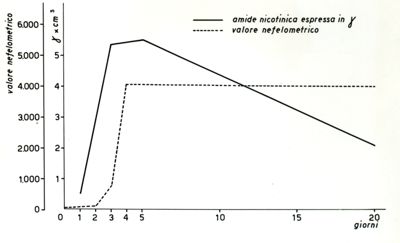 Grafico raffigurante la produzione di amide nicotinica da parte del mycobacterium phlei (Timodeo)