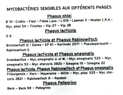 Tavole comparative di micobatteri