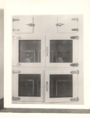 Detmotifo: armadio refrigerante per conigli