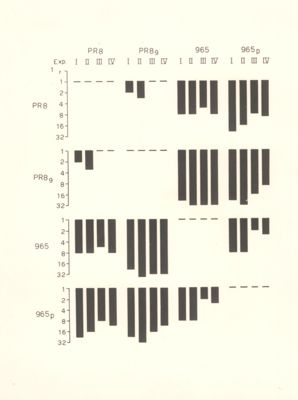 Grafici riguardanti le relazioni antigeniche fra ceppi di virus influenzali