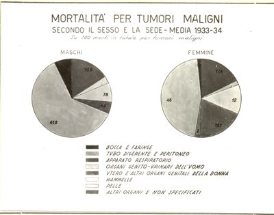 Diagramma riguardante la mortalità per tumori maligni secondo il sesso e la sede - media 1933 - 34