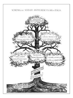 Diagramma riguardante lo schema dei servizi antitubercolari in Italia