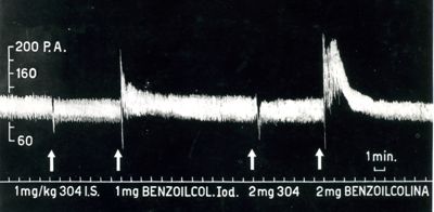Paragone fra gli effetti manifestati sulla pressione arteriosa del cane dalla benzoilcolina e dal benzoato di trietiletanolammonio