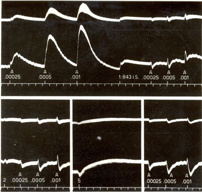 Derivati Simpatolitici della B - Tetraidronaftilammina - N - N Dimetil - B - tetraidronaftilammina (843 I.S.)