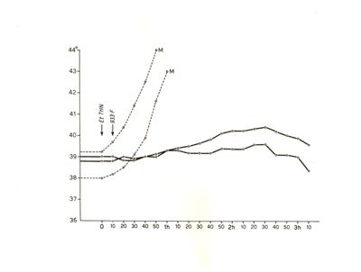 Ergotamminici di sintesi - azione sulle temperature del coniglio delle etil-tetraidro- naftilammina