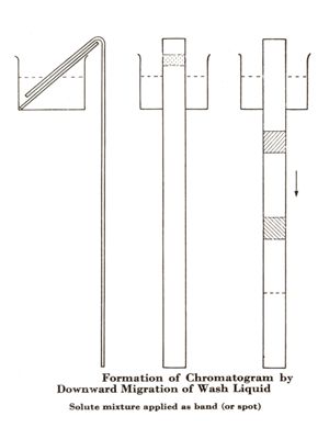 Diagrammi e tabelle riguardanti la cromatografia