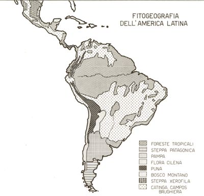 Fitogeografia dell'America Latina