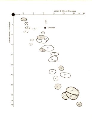 Cromatogrammi su carta - alcaloidi della Strychnos-Trinervis