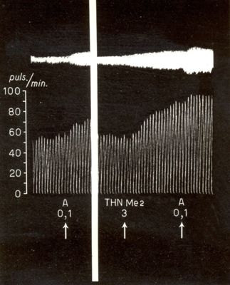 Grafici raffiguranti l'azione dei derivati della T H N