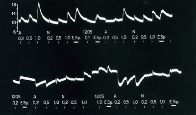 Derivati simpatolitici derivati del Benzodiossano