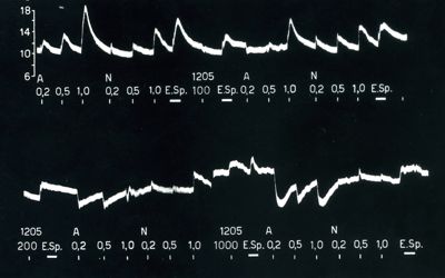 Registrazioni grafiche dell'azione del 1205 e del 1423 I.S. sulla pressione arteriosa del cane cloralosato