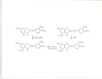 Diagrammi riguardanti la Costituzione del Cernuoside