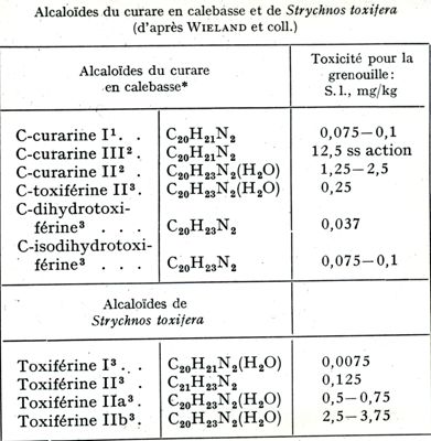 Alcaloidi del curaro in calebasso e di Strychnos Toxifera (secondo Wieland e collab.)