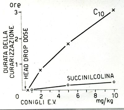 Succinilcolina e diioduro di decametilene- bis- trimetilammonio (C.10). Rapporto fra la dose di curaro e la durata della curarizzazione nel coniglio in respirazione artificiale