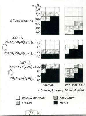 Antagonismo eserina - azione curarizzante sul coniglio