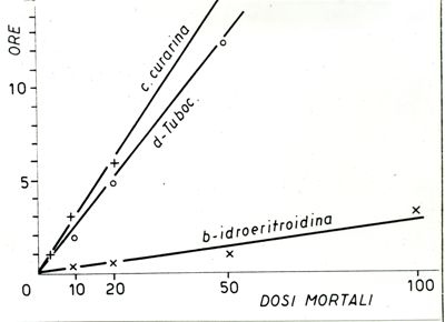 Il metodo delle 10 dosi mortali in respirazione artificiale come criterio dell'elettività dell'azione curarica (coniglio)
