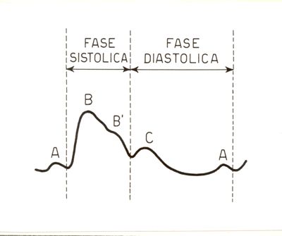 Grafico del polso arterioso dell'uomo