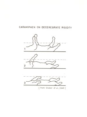 Azione del Caramiphen sulla rigidità decerebrata