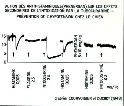 Azione degli antistaminici (Phenergan) sugli effetti secondari dell'intossicazione provocata dalla tubocurarina. Prevenzione della ipotensione nel cane