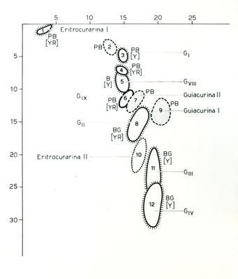 Cromatografia bidimensionale alcaloidi S. Guianensis