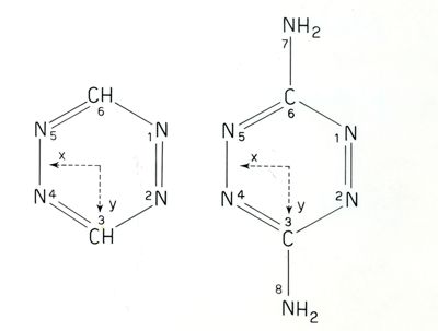 Schema delle molecole. S. Tetrazina. P. Diamino-Tetrazina.