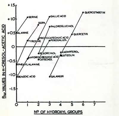 Immagine tratta dal libro "Biochimica e Biophysica Acta"