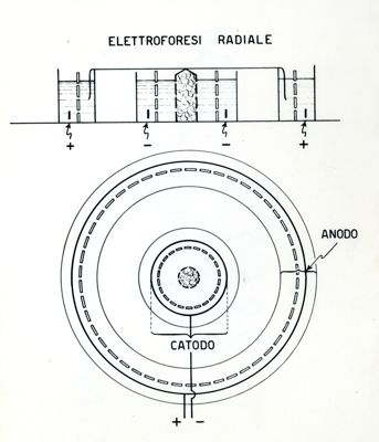 Schemi apparecchi elettroforesi